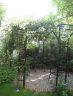 Gartenpavillon im ersten Jahr