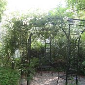 Gartenpavillon im ersten Jahr