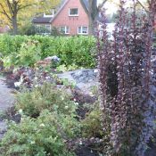 Bepflanzung im Hochbeet
